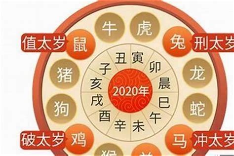 虎2023運勢|属虎人2023年全年运势详解 属虎2023年运势及运程每。